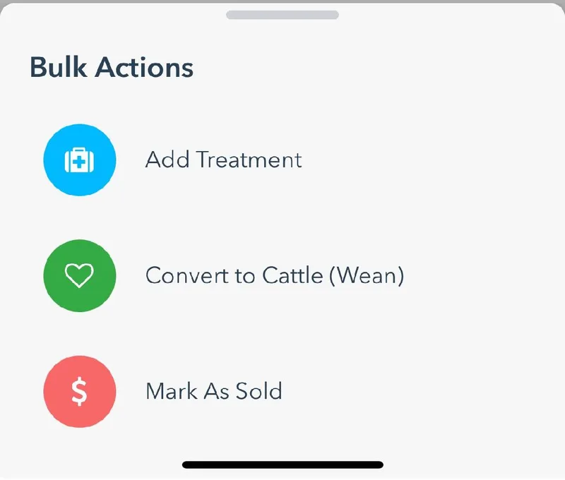 The Bulk Actions sheet with Add Treatment, Convert to Cattle (Wean), and Mark As Sold