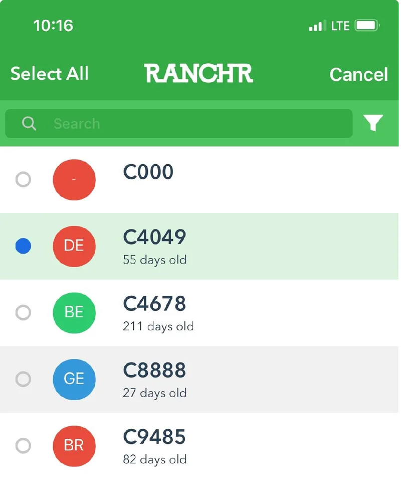 The Calves page in select mode with calf C4049 selected