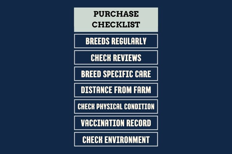 a simple checklist before purchasing a black copper maran