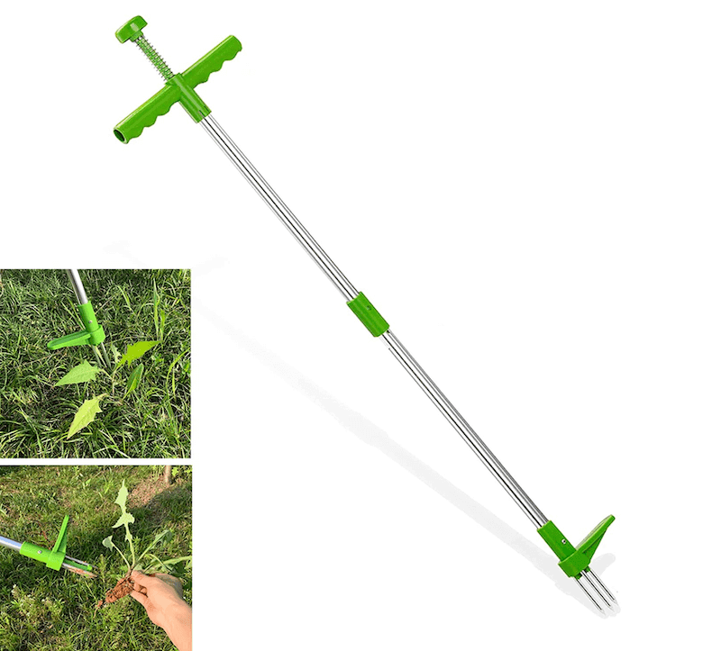 A green standing plant remover with photos of someone removing a weed from the ground