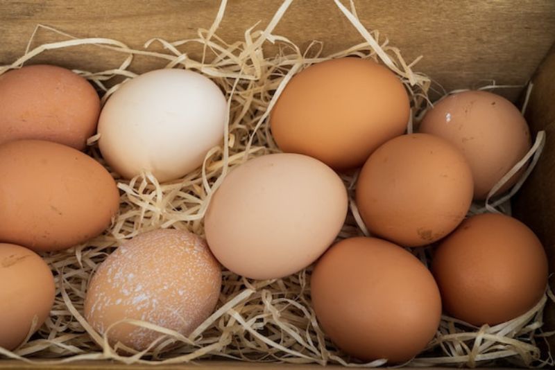 several eggs in a box