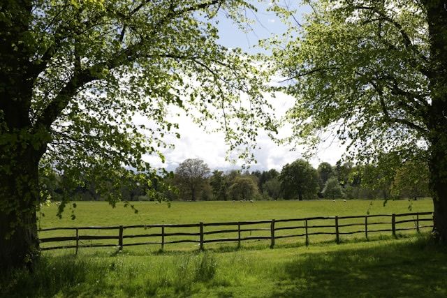 a long fence stretches across the grass in between two trees