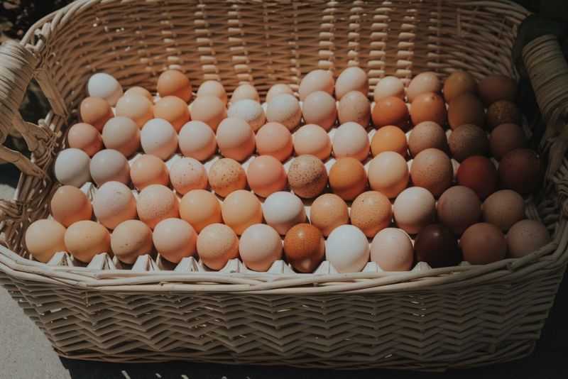 eggs-in-basket