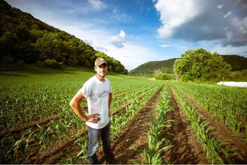 A man in a hat standing in a field full of green crops with blue skies